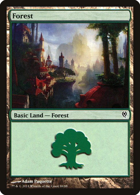 Forest from Duel Decks: Jace vs. Vraska