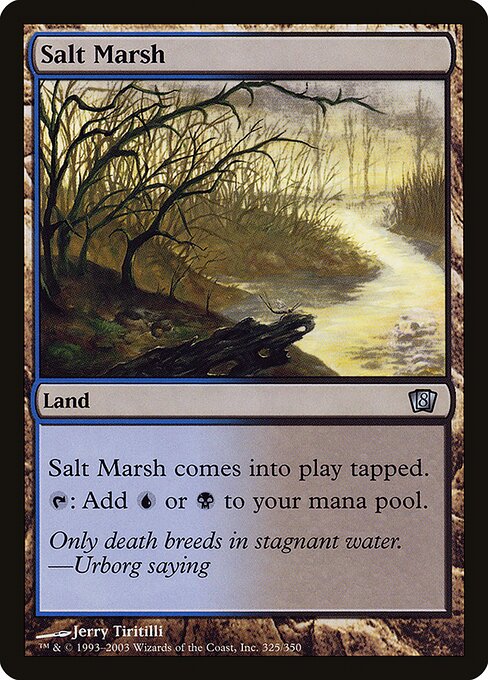 Salt Marsh from Eighth Edition