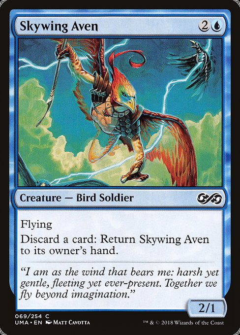 Skywing Aven highlighted card art