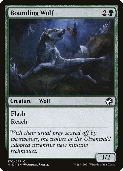 Bounding Wolf from Innistrad: Midnight Hunt