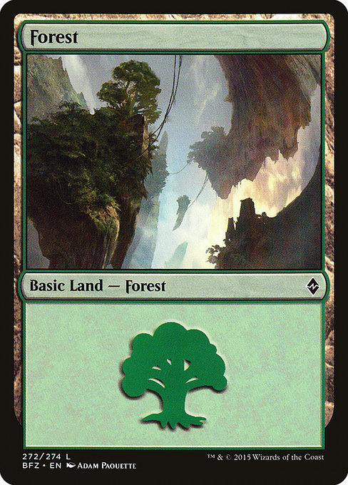 Forest from Battle for Zendikar