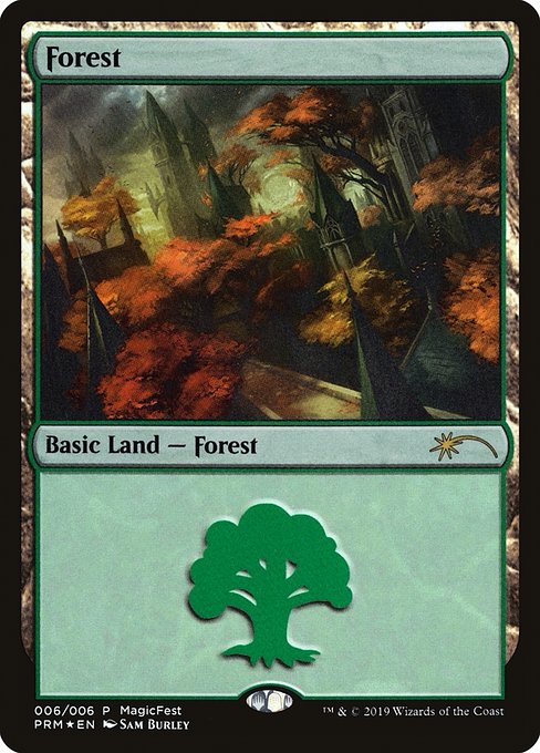 Forest from MagicFest 2019