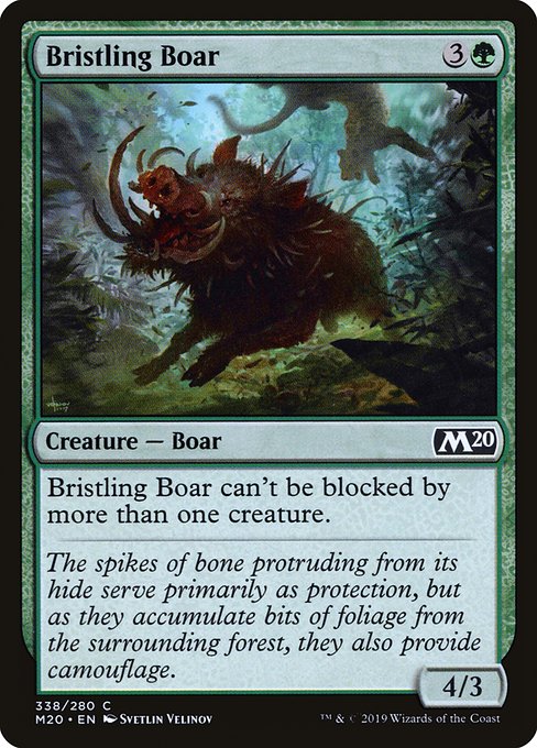 Bristling Boar from Core Set 2020
