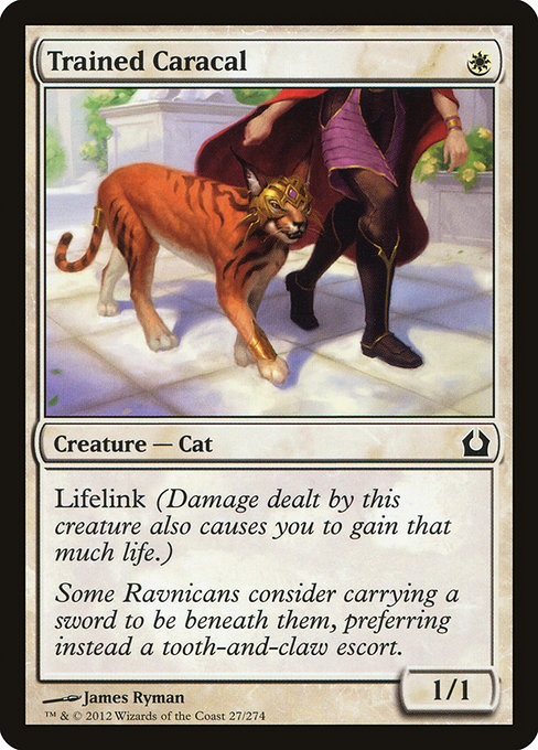 Trained Caracal from Return to Ravnica