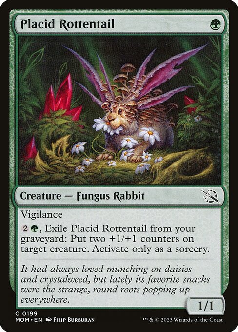 Placid Rottentail highlighted card art