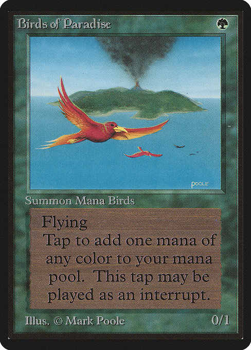 Birds of Paradise from Limited Edition Beta