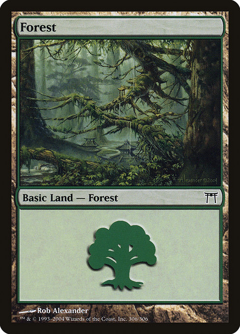 Forest from Champions of Kamigawa