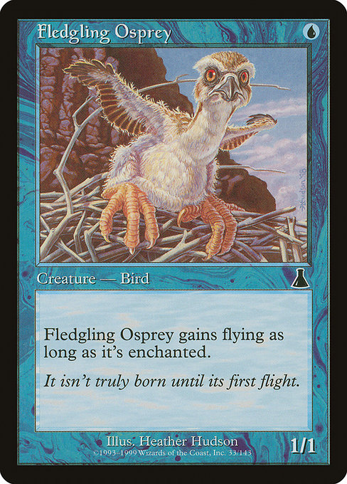 Fledgling Osprey highlighted card art