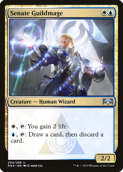 Senate Guildmage highlighted card art