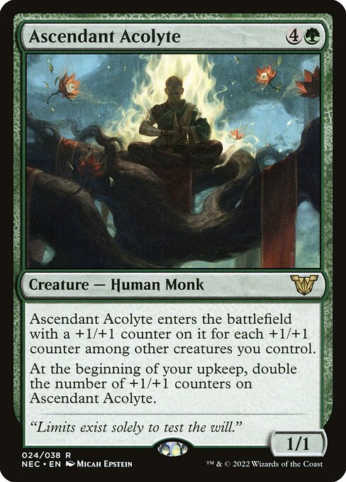Ascendant Acolyte highlighted card art