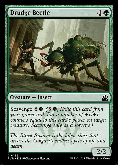 Drudge Beetle highlighted card art