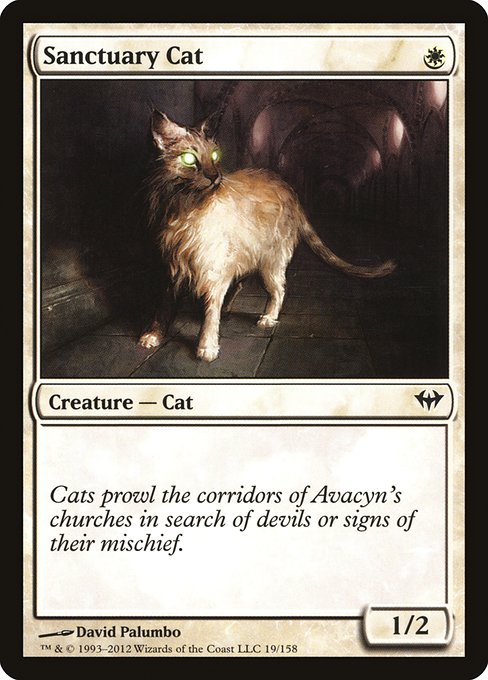 Sanctuary Cat from Dark Ascension