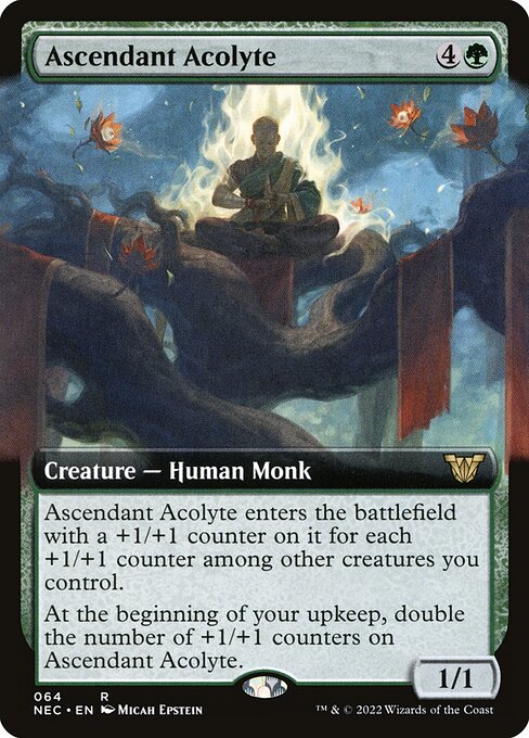 Ascendant Acolyte from Neon Dynasty Commander
