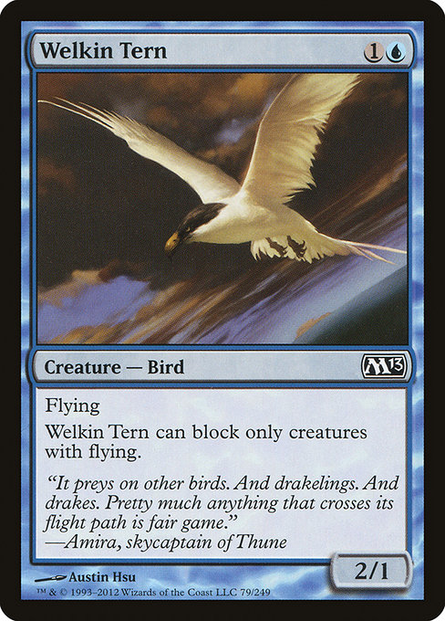 Welkin Tern from Magic 2013