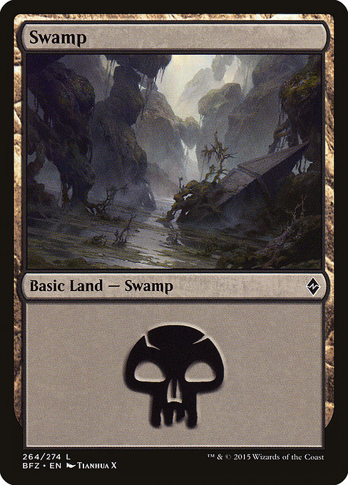Swamp from Battle for Zendikar