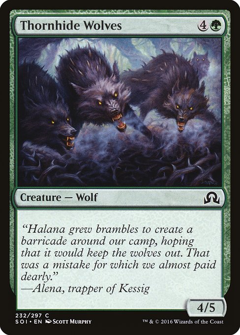 Thornhide Wolves from Shadows over Innistrad