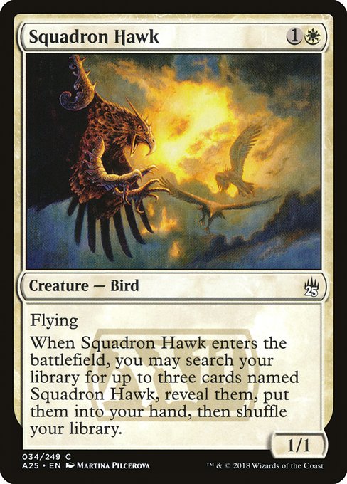 Squadron Hawk highlighted card art