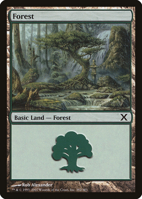 Forest from Tenth Edition