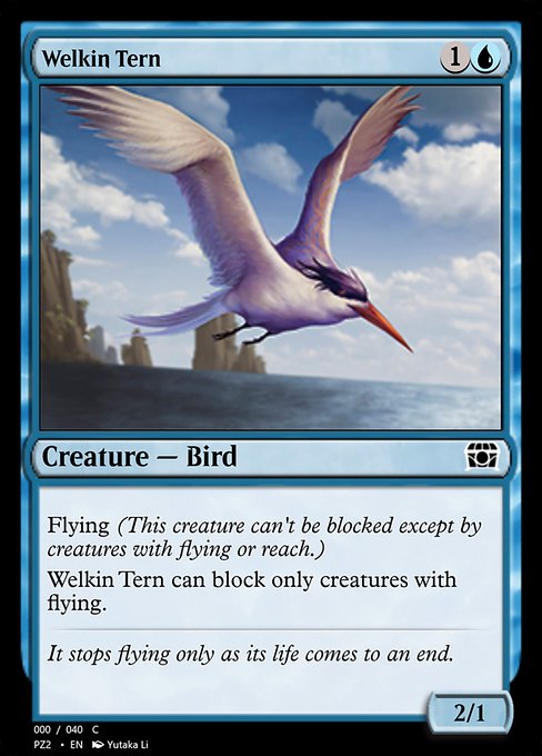Welkin Tern from Treasure Chest