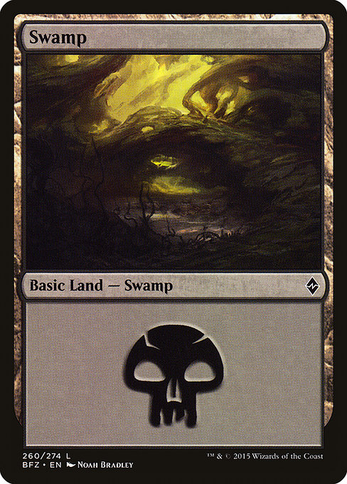 Swamp from Battle for Zendikar