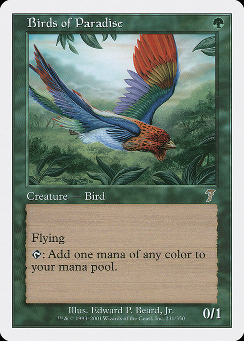 Birds of Paradise from Seventh Edition