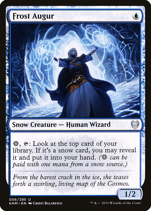 Frost Augur highlighted card art
