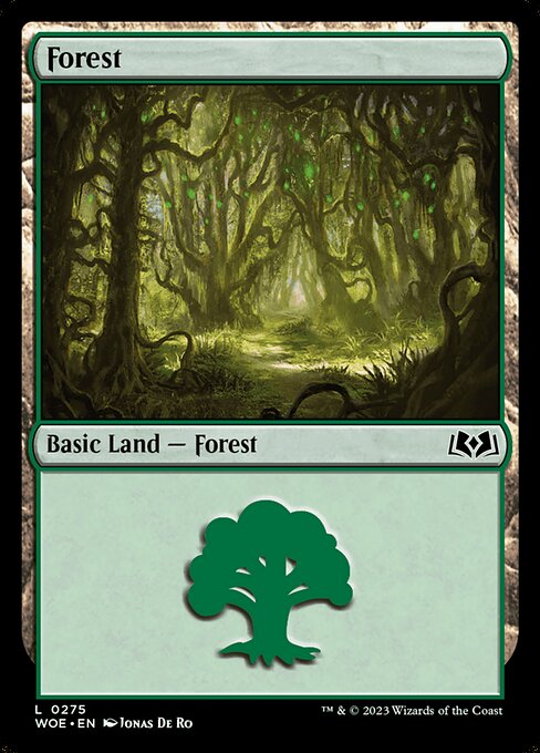 Forest from Wilds of Eldraine