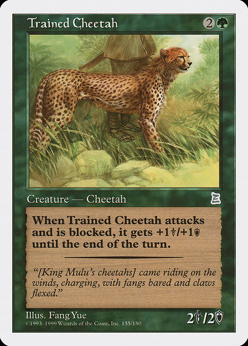 Trained Cheetah highlighted card art