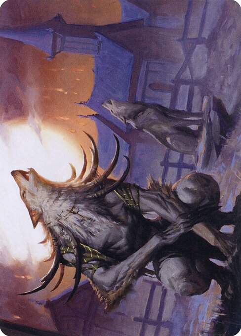 Lord of the Ulvenwald // Lord of the Ulvenwald highlighted card art