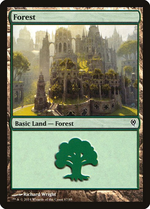 Forest from Duel Decks: Jace vs. Vraska