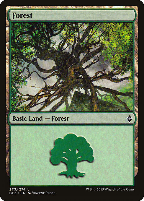Forest from Battle for Zendikar