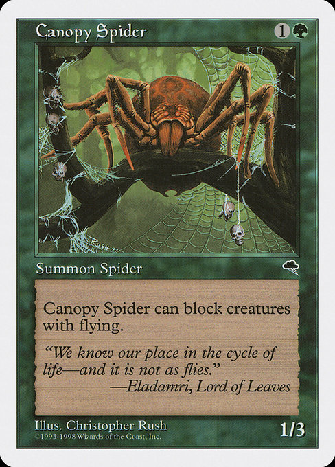 Canopy Spider from Anthologies