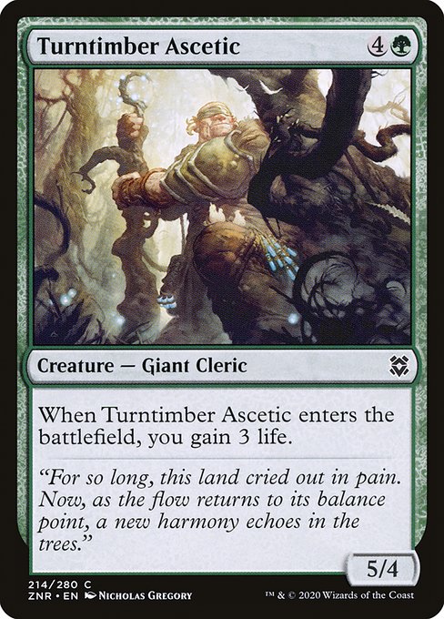 Turntimber Ascetic highlighted card art