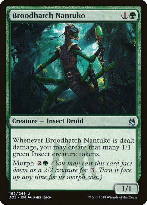 Broodhatch Nantuko from Masters 25