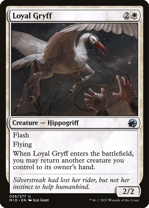 Loyal Gryff from Innistrad: Midnight Hunt