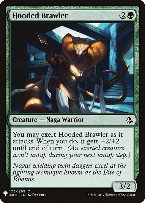 Hooded Brawler from The List