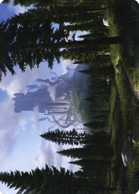 Forest // Forest from Adventures in the Forgotten Realms Art Series
