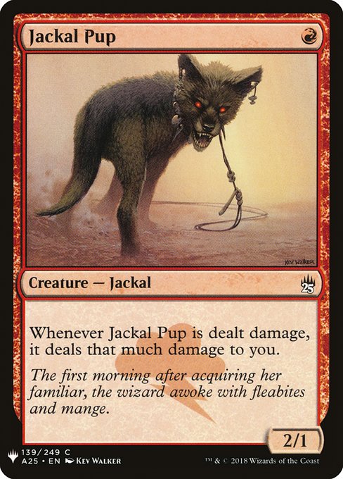 Jackal Pup highlighted card art