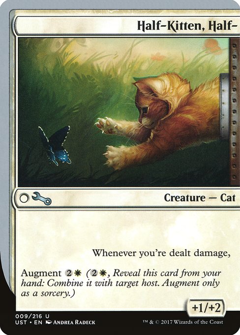 Half-Kitten, Half- highlighted card art