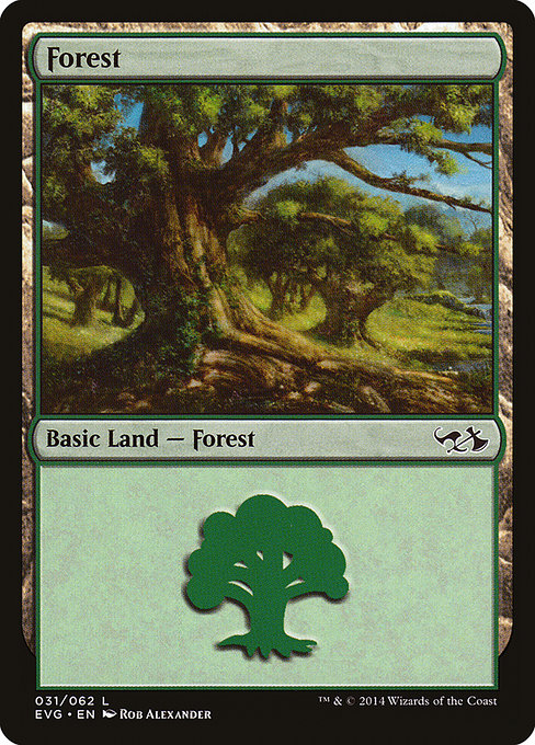 Forest from Duel Decks Anthology: Elves vs. Goblins