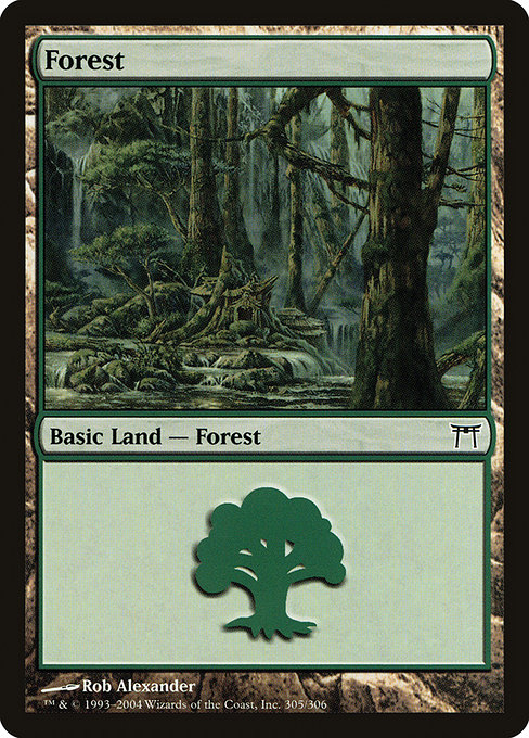 Forest from Champions of Kamigawa