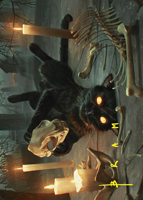 Nine-Lives Familiar // Nine-Lives Familiar from Foundations Art Series