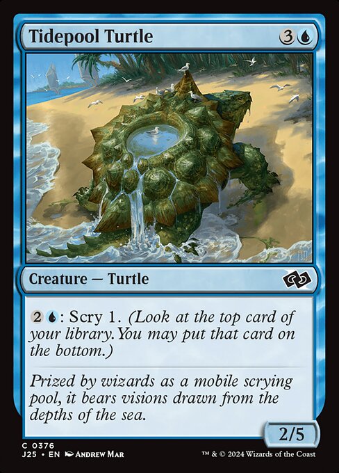 Tidepool Turtle highlighted card art