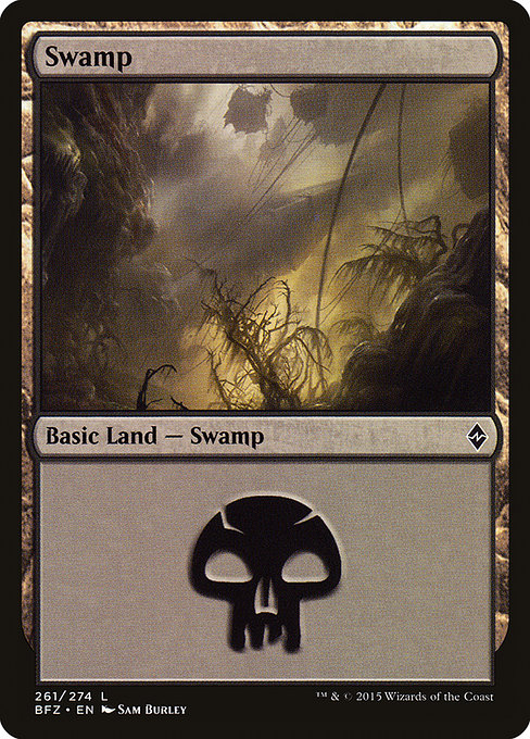 Swamp from Battle for Zendikar