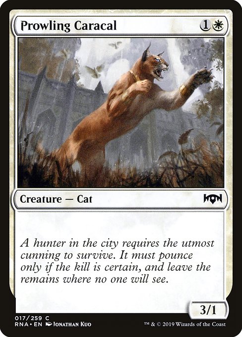 Prowling Caracal from Ravnica Allegiance