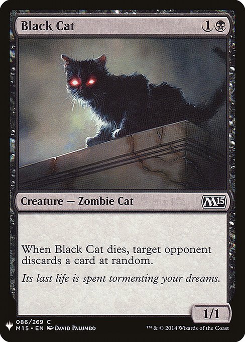 Black Cat from The List
