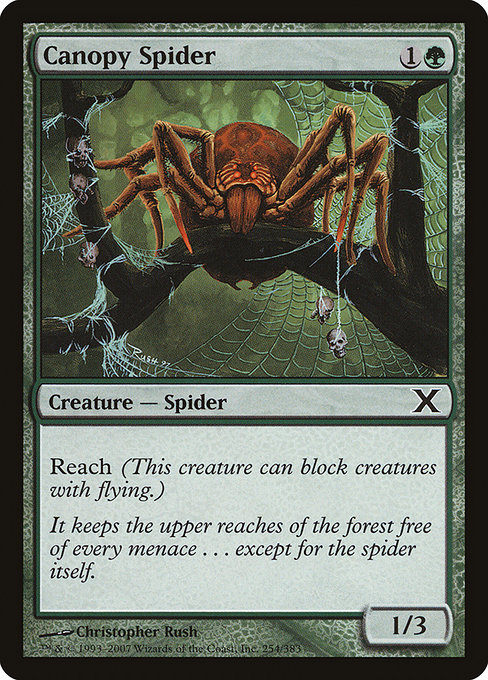 Canopy Spider from Tenth Edition