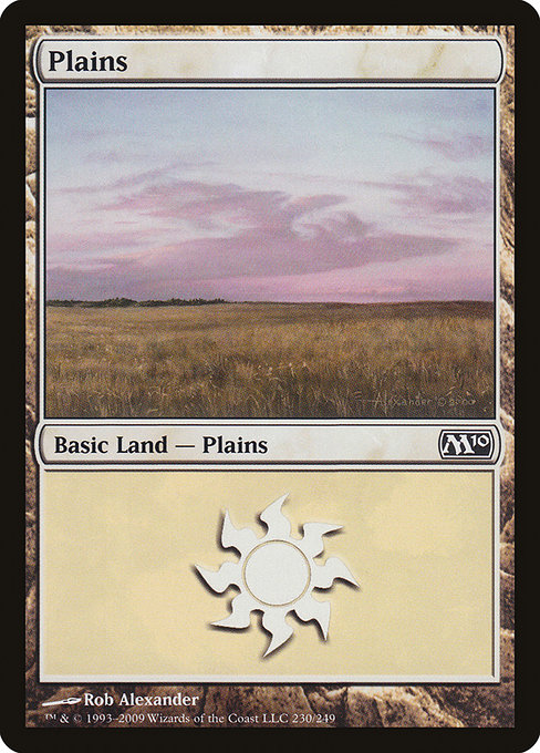 Plains from Magic 2010
