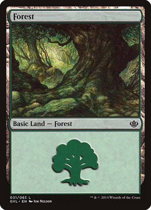 Forest from Duel Decks Anthology: Garruk vs. Liliana