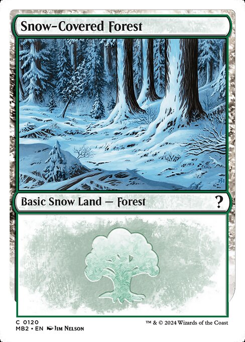 Snow-Covered Forest highlighted card art